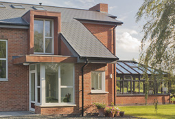 Crooked Willow Thumb 2.jpg