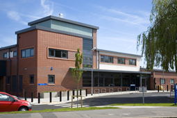 Willow Tree Thumb.jpg